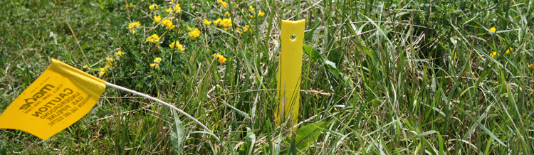 Plastic stake for marking underground gas utilities